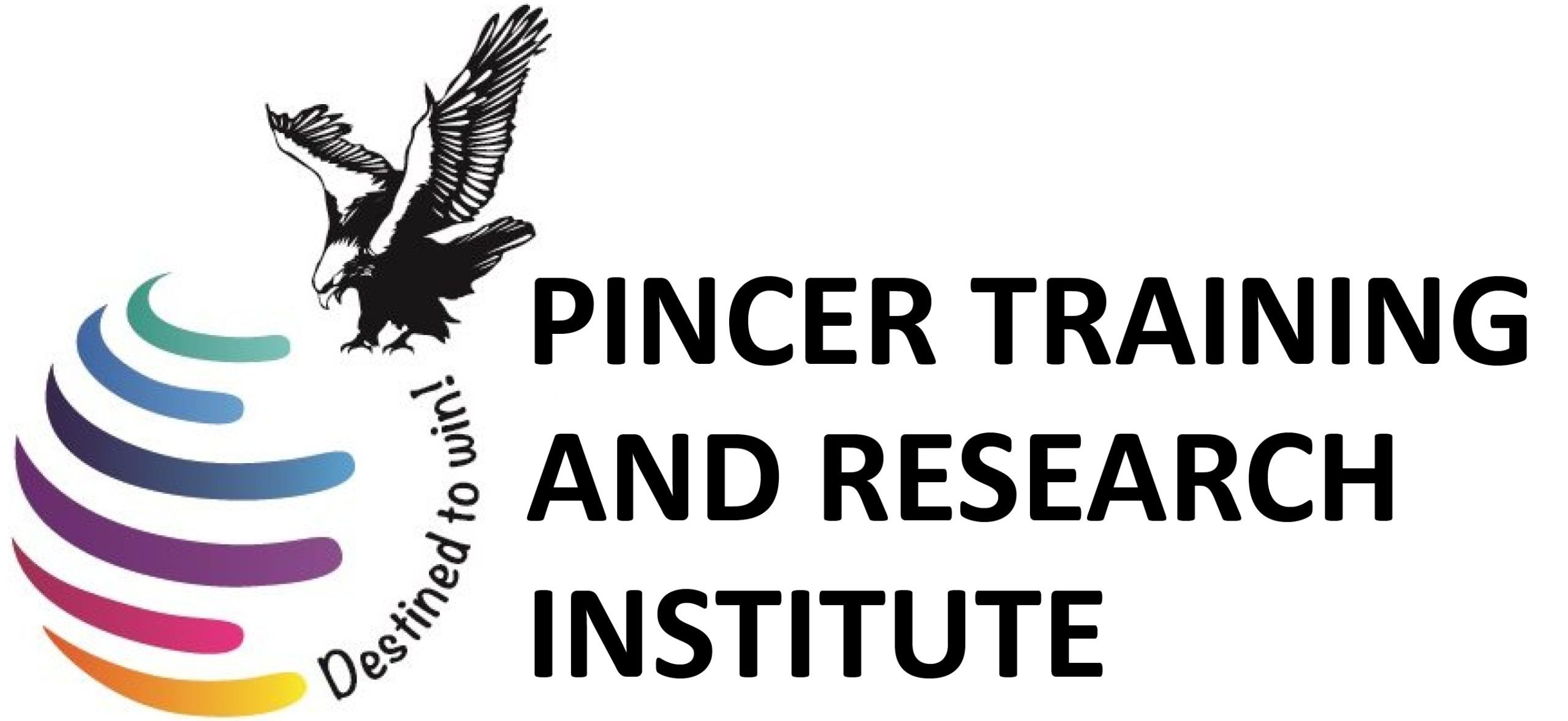 Pincer Training and Research Institute